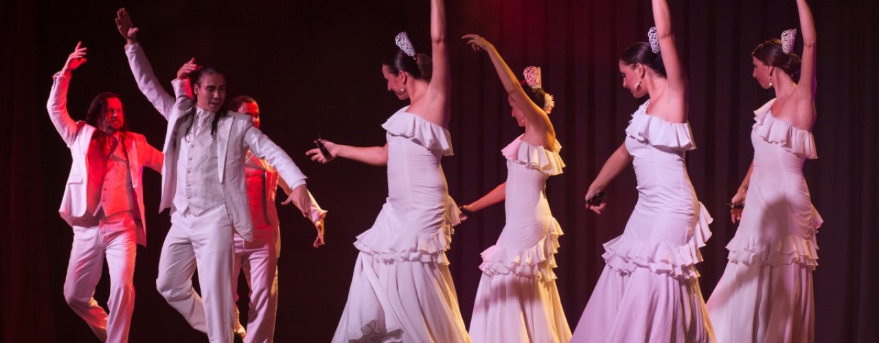 Flamenco show in Costa Brava! 