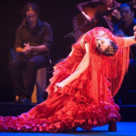 Flamenco show in Costa Brava! 