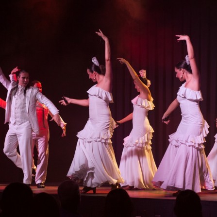 Flamenco show in Costa Brava! 